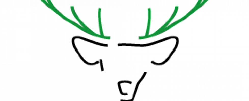 Logo S13 Titel