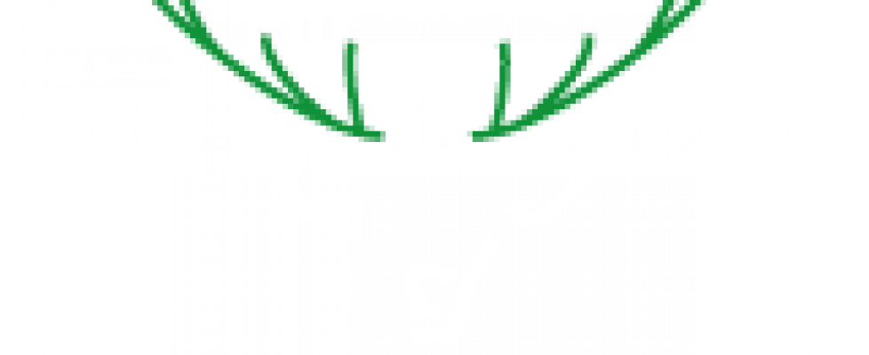 Logo-S13-weiss-160