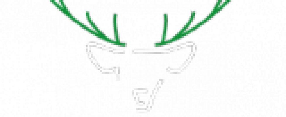 S13-Logo-weiss