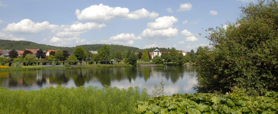 ILEKHochwald
